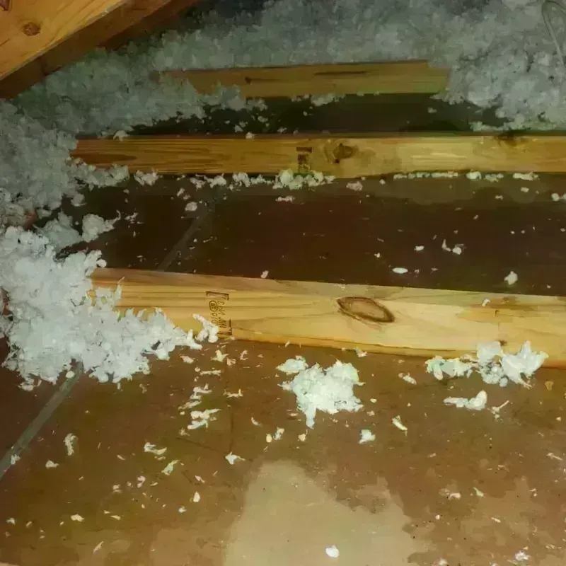 Attic Water Damage in Clay County, AL