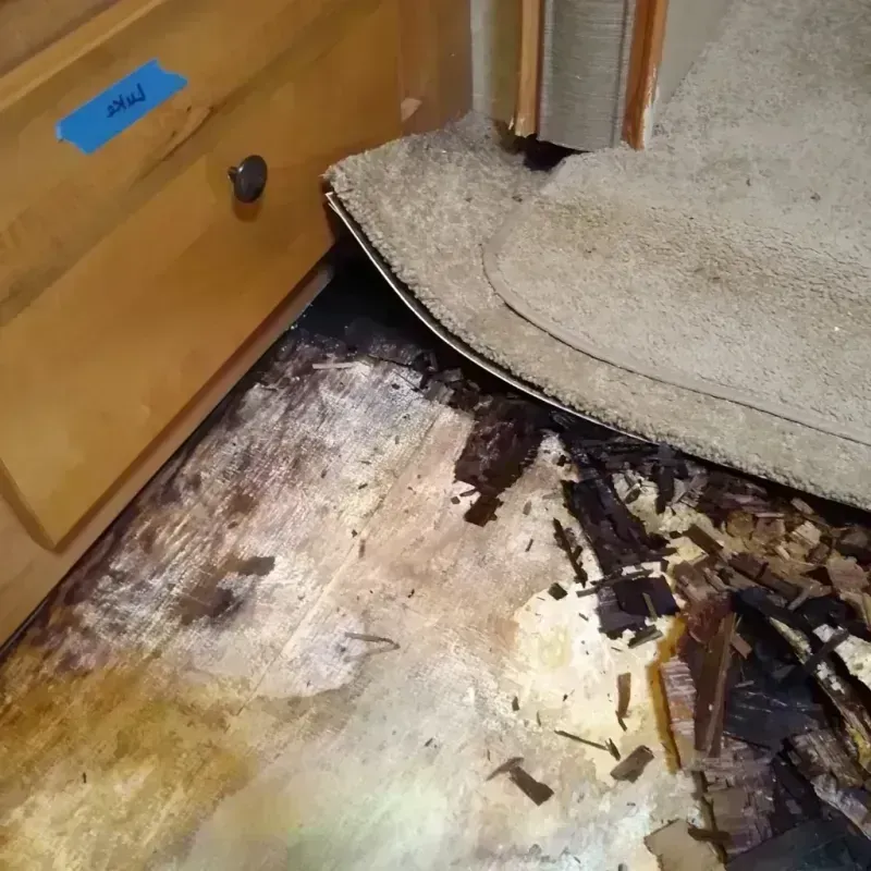 Wood Floor Water Damage in Clay County, AL